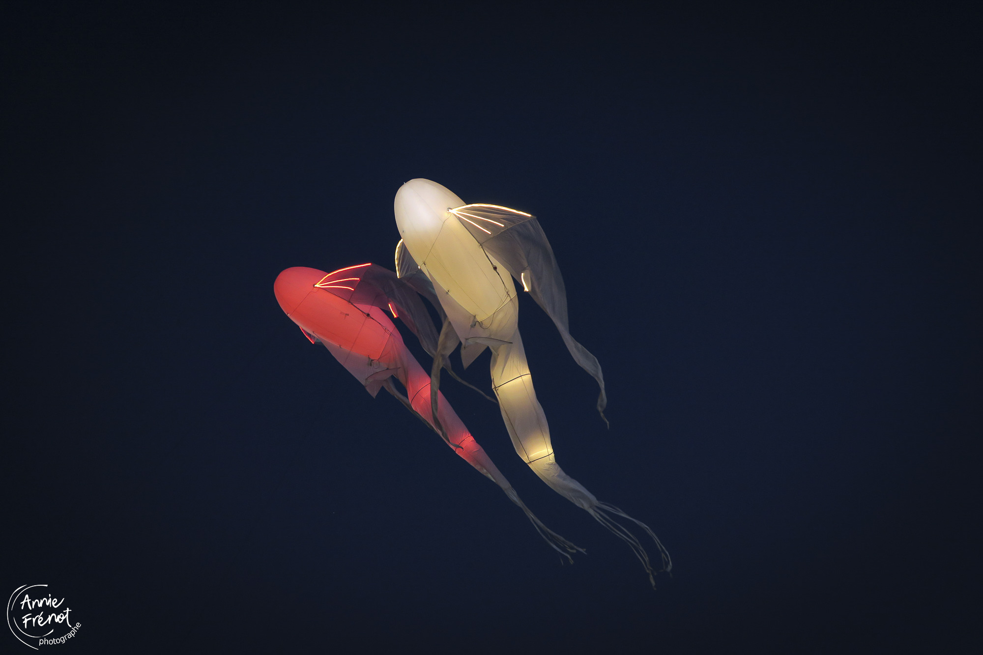 photographe concert Rhones-Alpes