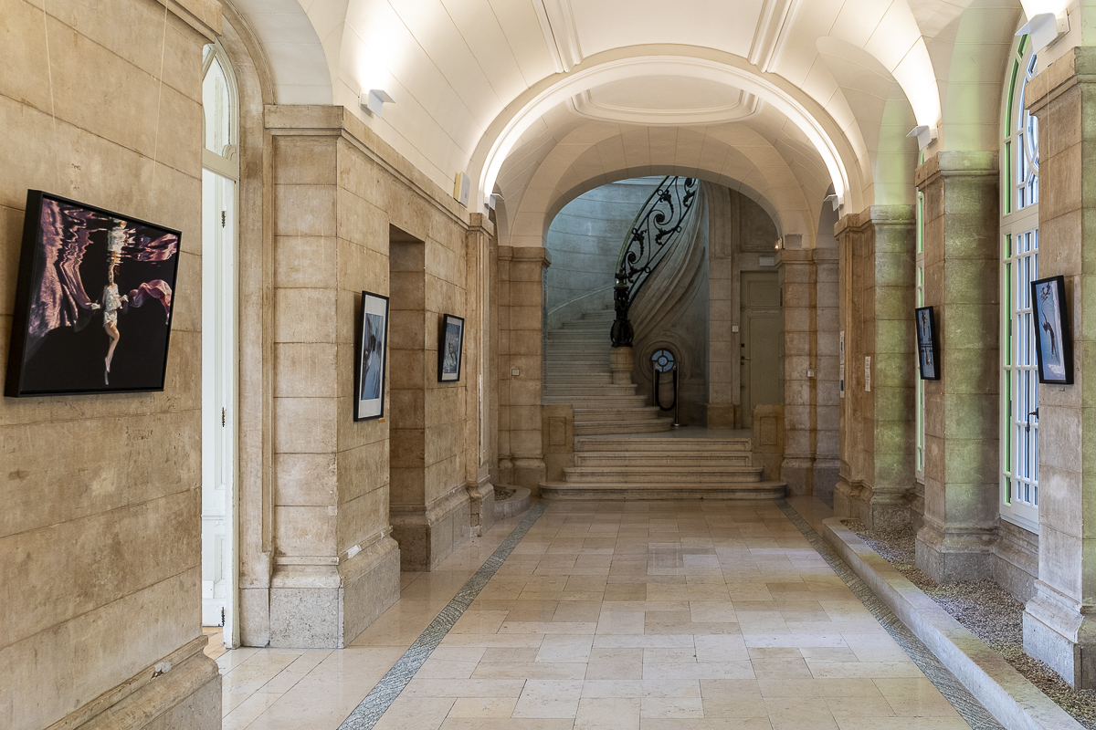 exposition-aquatique-Annie-Frenot