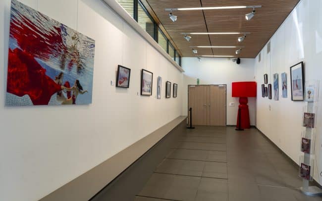 Photographe Aquatique Annie Frenot