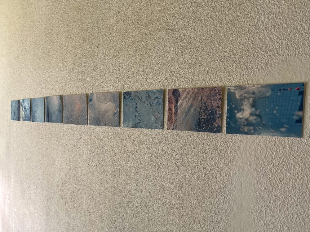 Photographie-exposition-aquatique-Claix
